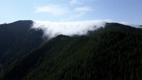 advection fog slowly creeps over an evergreen covered mountain slope, aerial orbit