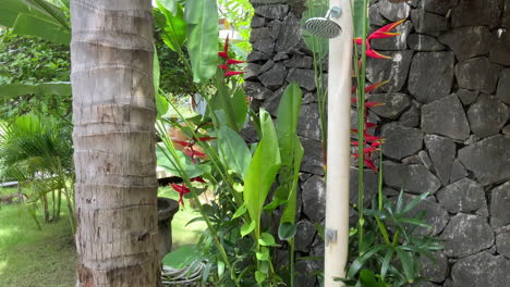 Helle-Heliconia-Blume-Im-Garten-Des-Jivana-Resort,-Kuta-Lombok-In-Indonesien