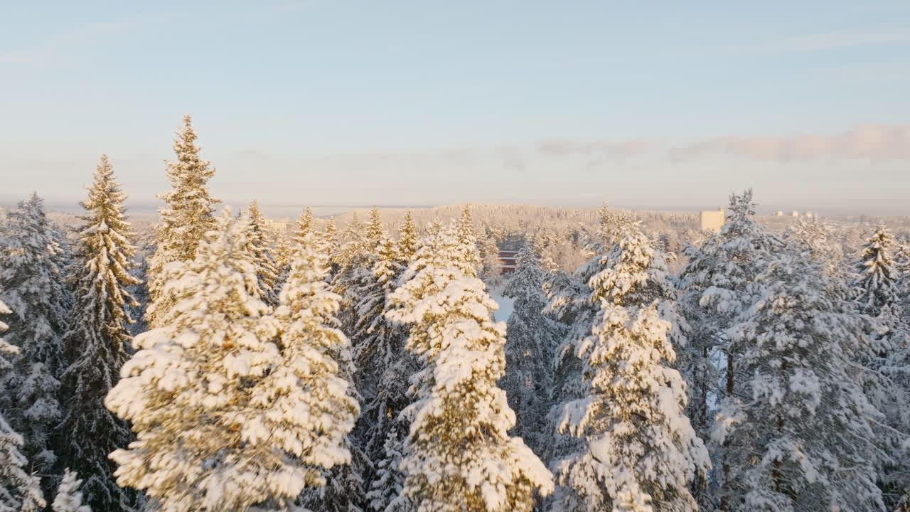 Luftfoto over et sneklædt tag, mod solbeskinnet skov, arktisk solopgang i Finland