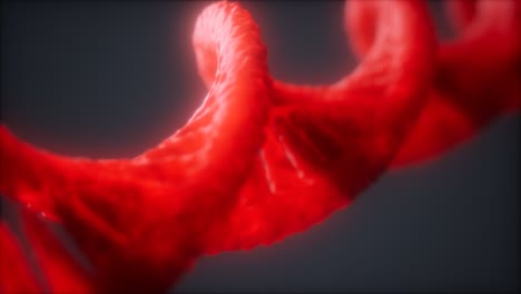 Schleifenstruktur-Der-DNA-Doppelhelix-Animation