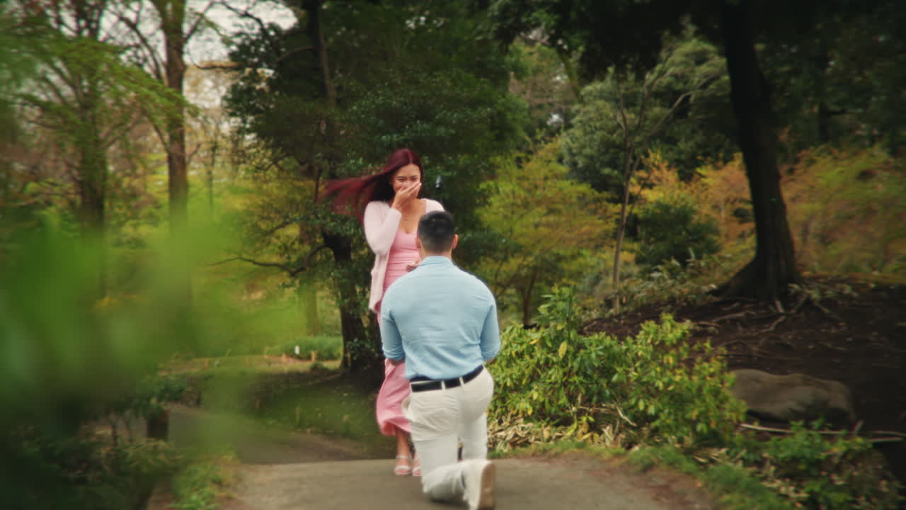 Marriage Proposal in a Park