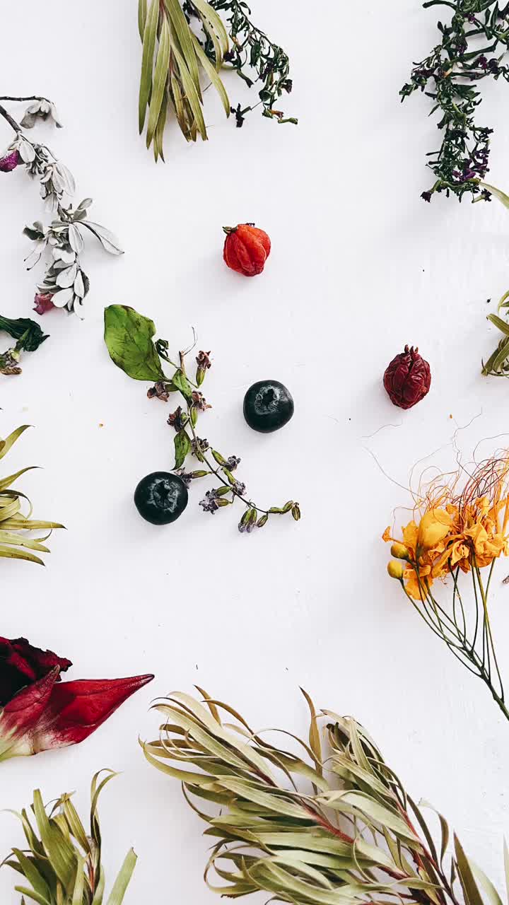 Dried Botanical Arrangement on White Background