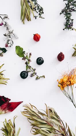 dried botanical arrangement on white background