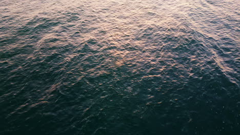 marine water waving surface reflecting sun close up. sea waves moving rippling