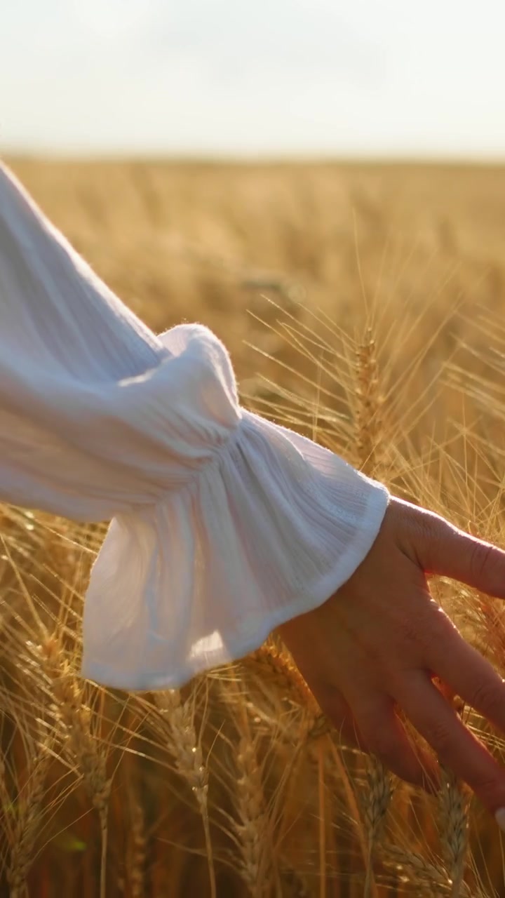 Donna che tocca il grano in un campo dorato al tramonto