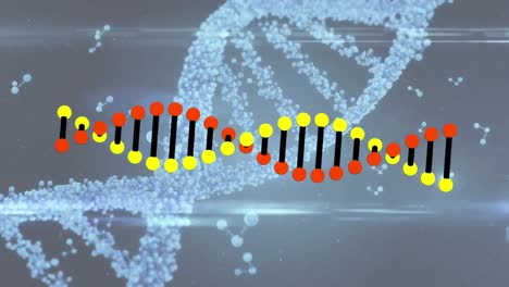 Animation-Von-DNA-Strängen-über-Molekülen-Auf-Schwarzem-Hintergrund