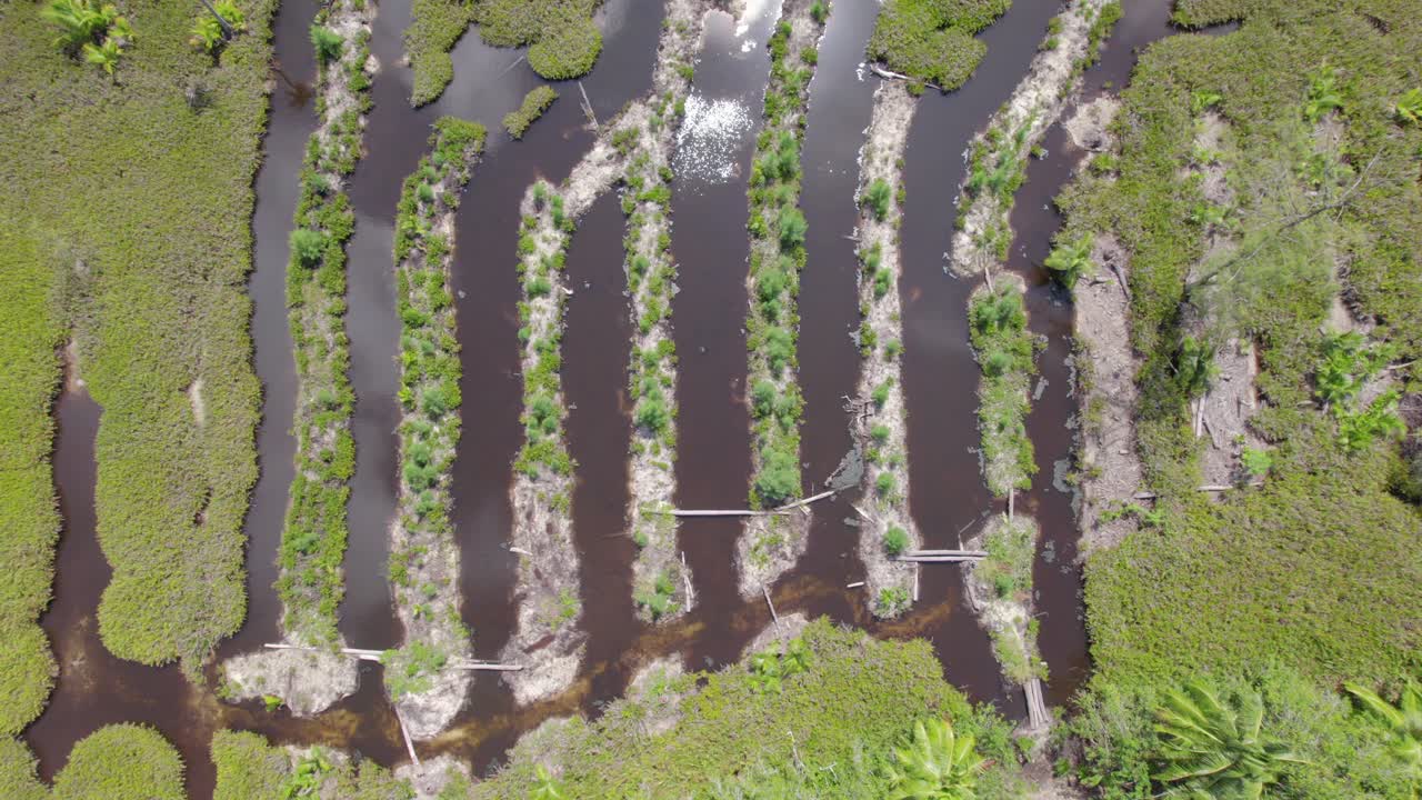 Drone footage of cap ternay mangrove, clouds reflection in water, Mahe Seychelles 30fps 3