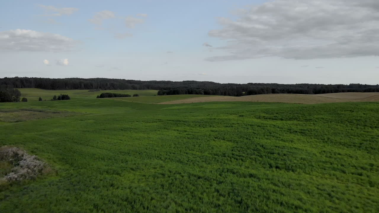 mosca trasera, tiro aéreo en el campo de hierba verde, pequeñas colinas y árboles en el horizonte