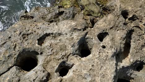 close-up of a rock on the sea with geological formations. daylight