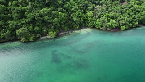 aerial shot of the beauty of a virgin beach in costa rica