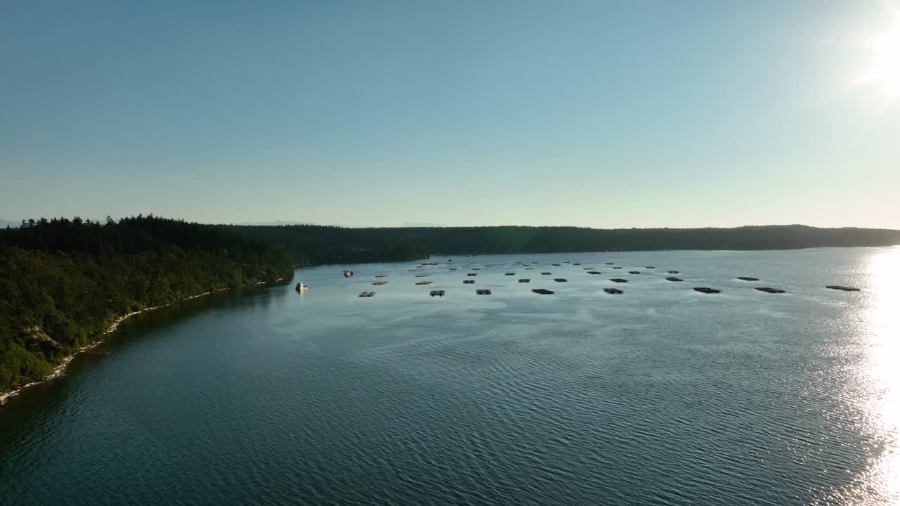 toma aérea ascendente sobre la granja de mejillones de penn cove cerca de coupeville, washington