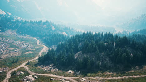 aerial view of green coniferous forest in the mountains