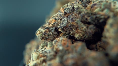 una toma mágica macro cinematográfica de una planta de cannabis, variedades híbridas de naranja, indica y sativa, flor de marihuana púrpura, en un soporte giratorio, super cámara lenta, 120 fps, full hd, iluminación de estudio