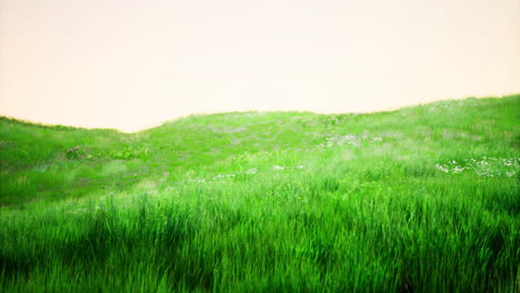 Rolling green hills under a clear sky at sunset creating a tranquil atmosphere