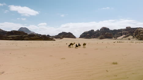 Beduinen-Auf-Kamelhaltung-Und-Schafherde-In-Der-Wüste-Wadi-Rum,-Jordanien