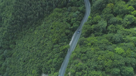 Black-sedan-driving-slow-on-winding-asphalt-road-through-green-woods