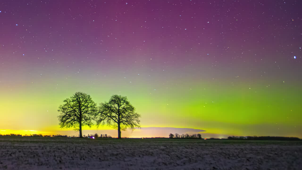 Stunning time lapse of the Northern Lights (Aurora Borealis) dancing with purple and green colors in a starry night sky above two silhouetted trees in Sri Lanka