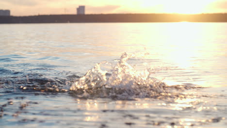 woman dressed in wetsuit and swimming cap 2