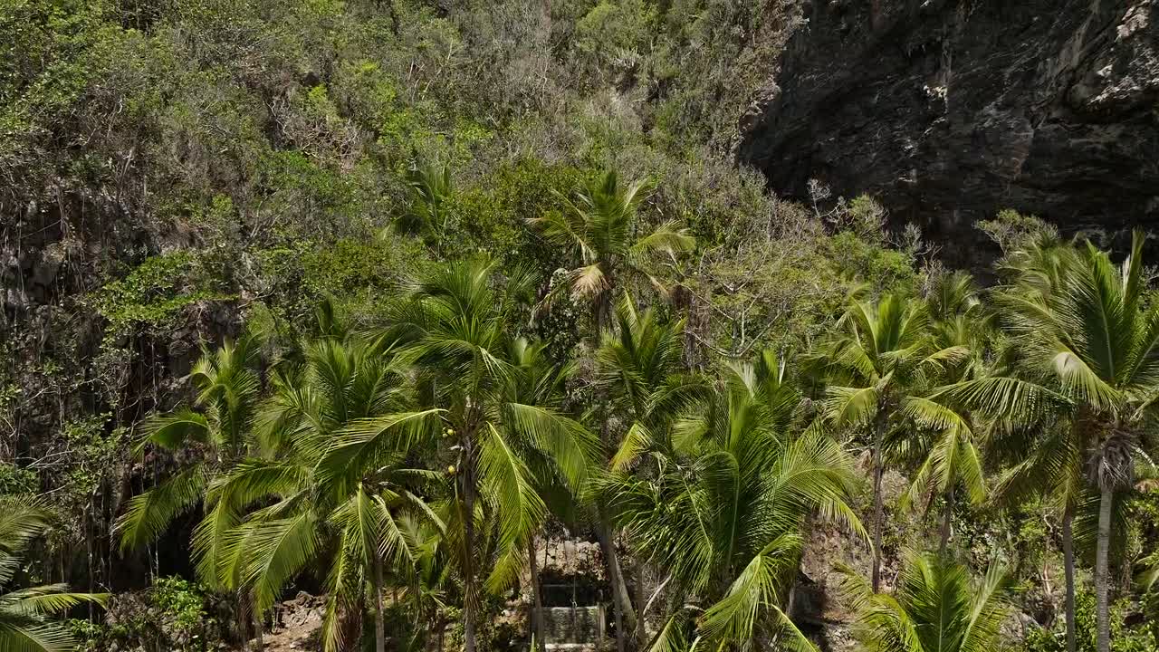 drone se eleva en un bosque impenetrable, república dominicana