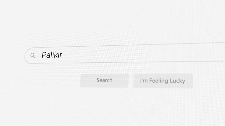 Searching for Palikir on Internet browser