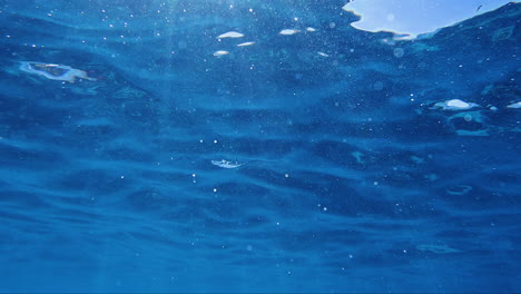 blue ocean waves shimmer on the surface of the water, captured from below