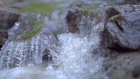 nature little waterfall crystal clear water falling down the rock of mountain stream, wild river rapids with flowing water, peaceful scenic creek in forest, water bubbles