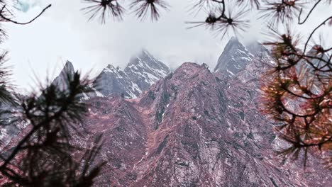 snow capped mountains framed by branches
