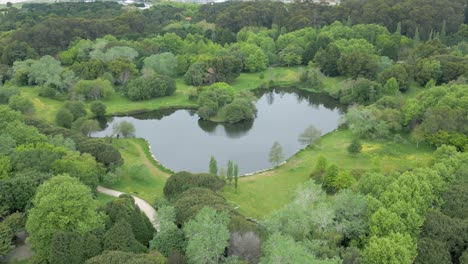 aerial image of porto city park