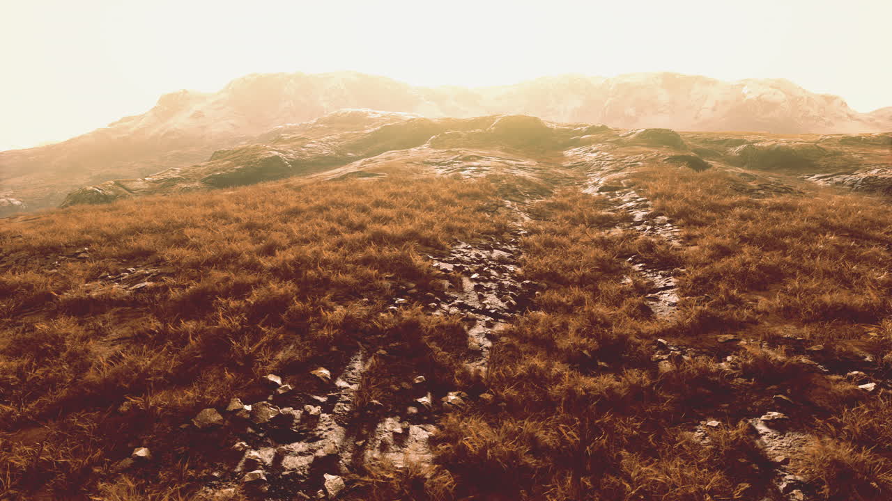 네팔 의 건조 한 풀 ⁇  과 산 들