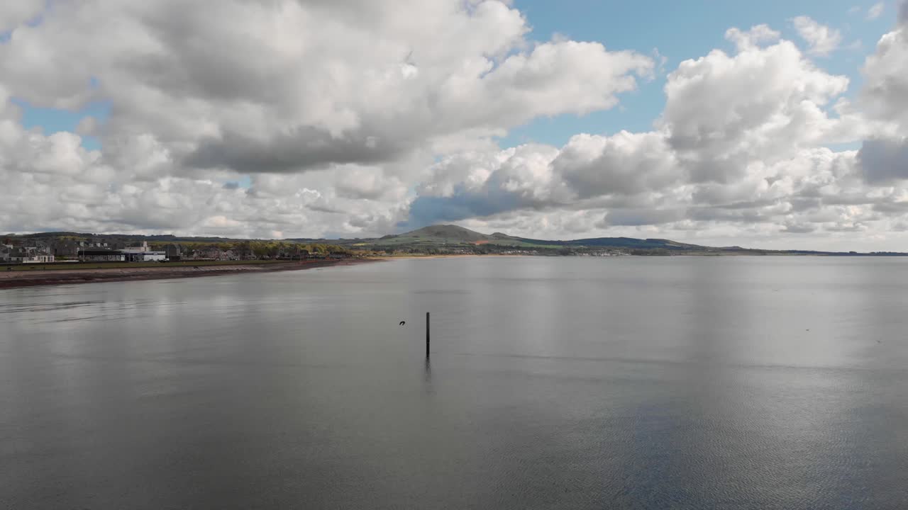 앉은 새가 물을 훑어보며 날아가는 것을 방해하는 바다 건너 저공비행