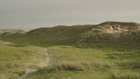 green dunes and sandy path under a cloudy sky during the day