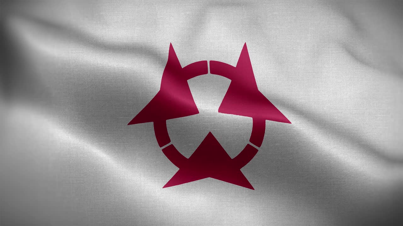 prefectura de oita japón bandera de bucle de fondo 4k