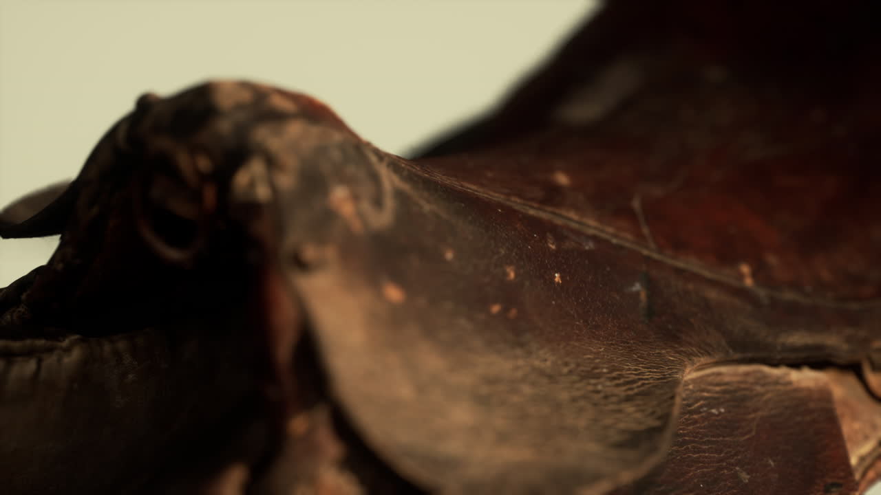 오래된 빈티지 가죽 드레사지 말 의자