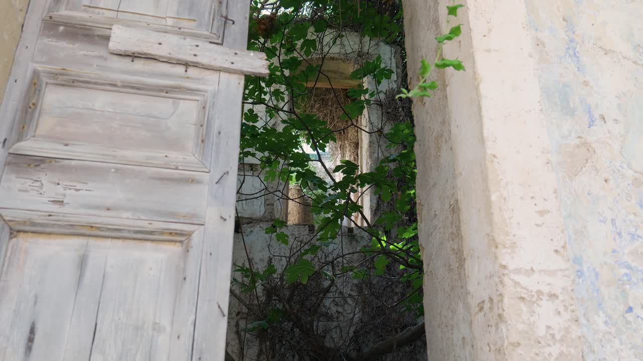 초록색으로 뒤인 버려진 건물