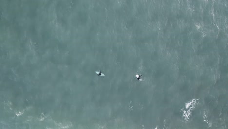 Top-down-aerial-of-two-surfers-waiting-in-lineup-to-catch-waves-in-Iceland