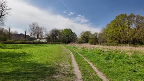 walking through barnes common, london, united kingdom