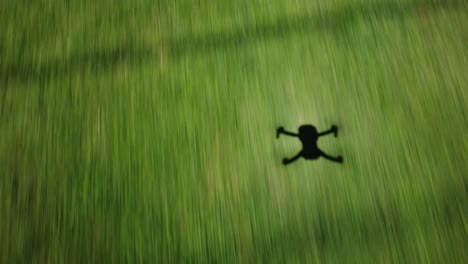 shadow silhouette of drone flying above grass field into treeline