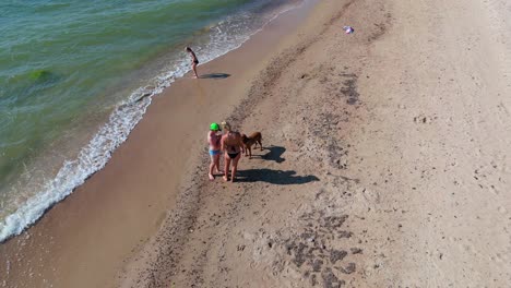 aerial footage of woman in bikini playing with vizsla dog on baltic sea shoreline joyful summer scene on a sunny day captured by drone on scenic latvian coast