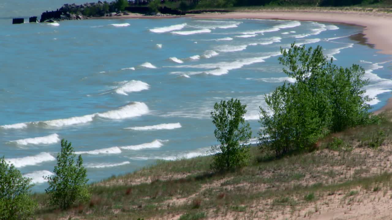 Scenic Beach with Waves and Trees