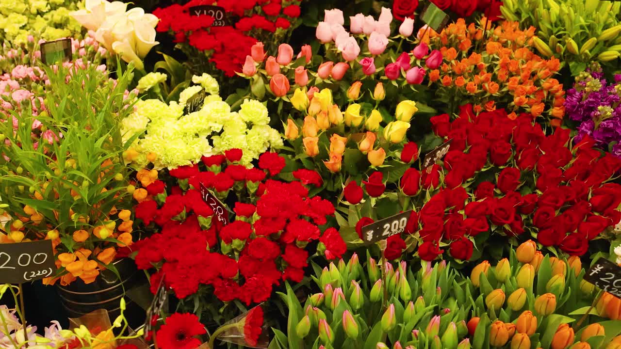 Une prise de vue panoramique en plongée capture des roses, des œillets et des tulipes colorés avec des étiquettes de prix en extérieur.
