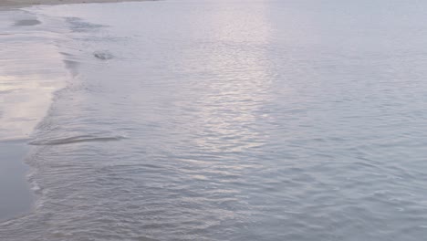 close waves - beach and sea in italy - jesolo beach