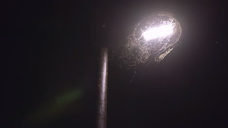 low angle of streetlight covered in spider webs