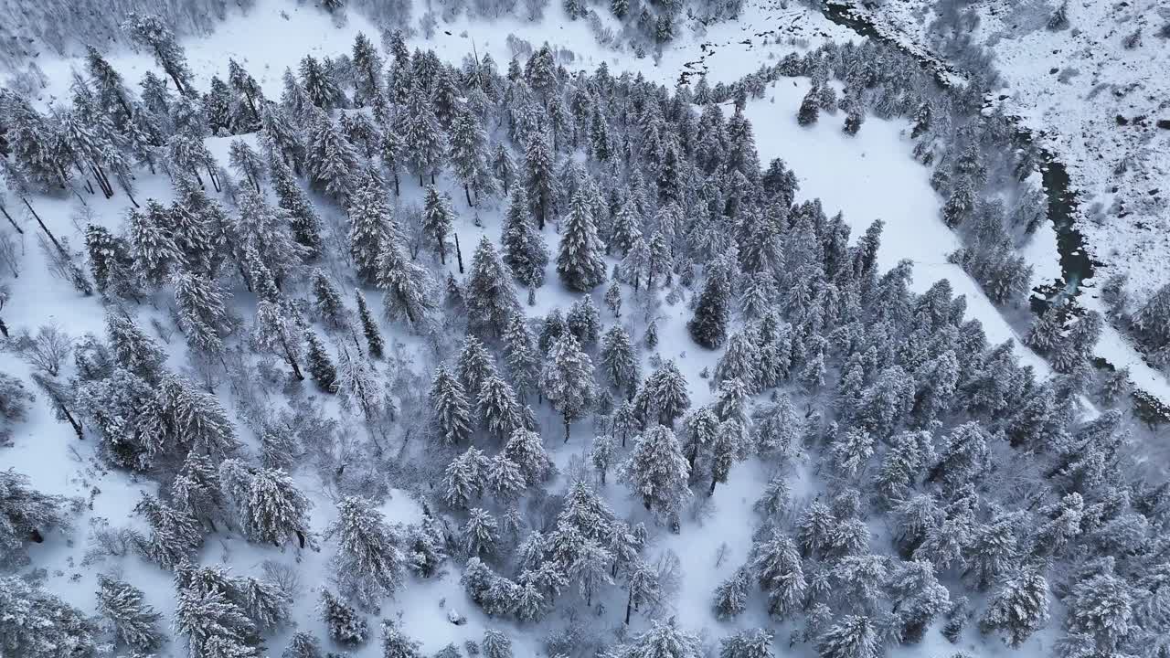 paisaje de bosque nevado desde arriba