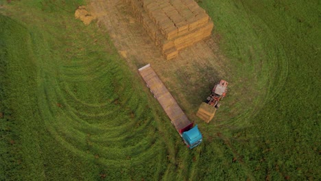 farmer unloading round bales of straw from hay trailer with a front end loader. store hay at farm.