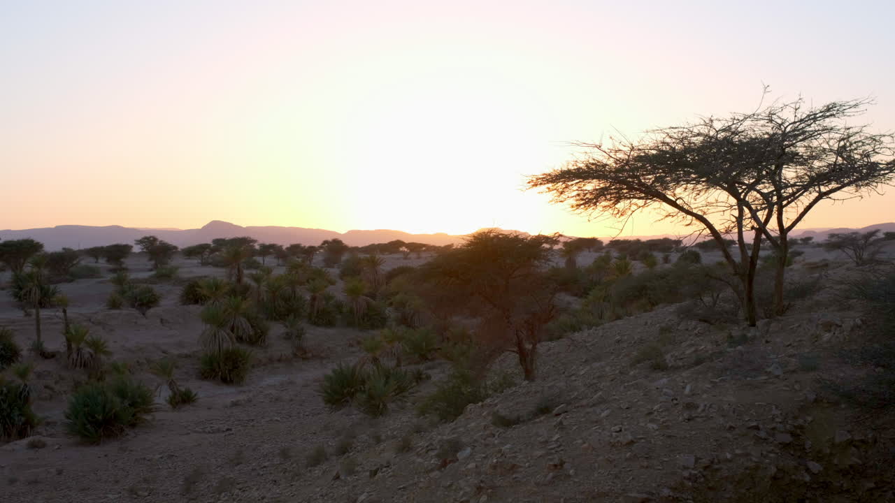 Saharaørkenen i Marokko under solnedgang.