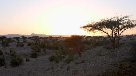 desierto del sahara en marruecos durante la puesta de sol