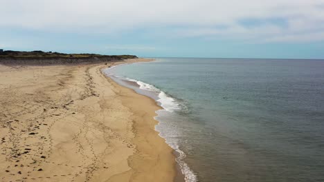 Volando-Sobre-La-Playa-De-Arena-Se-Puede-Ver-Una-Foca-Solitaria-Rompiendo-La-Superficie