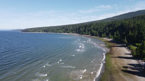 Aerial-flyover-view-of-Bonniebrook-beach,-where-temperate-rainforests-meet-the-pacific