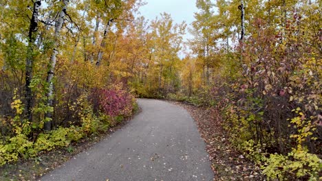 devon voyageur park walk way in autumn