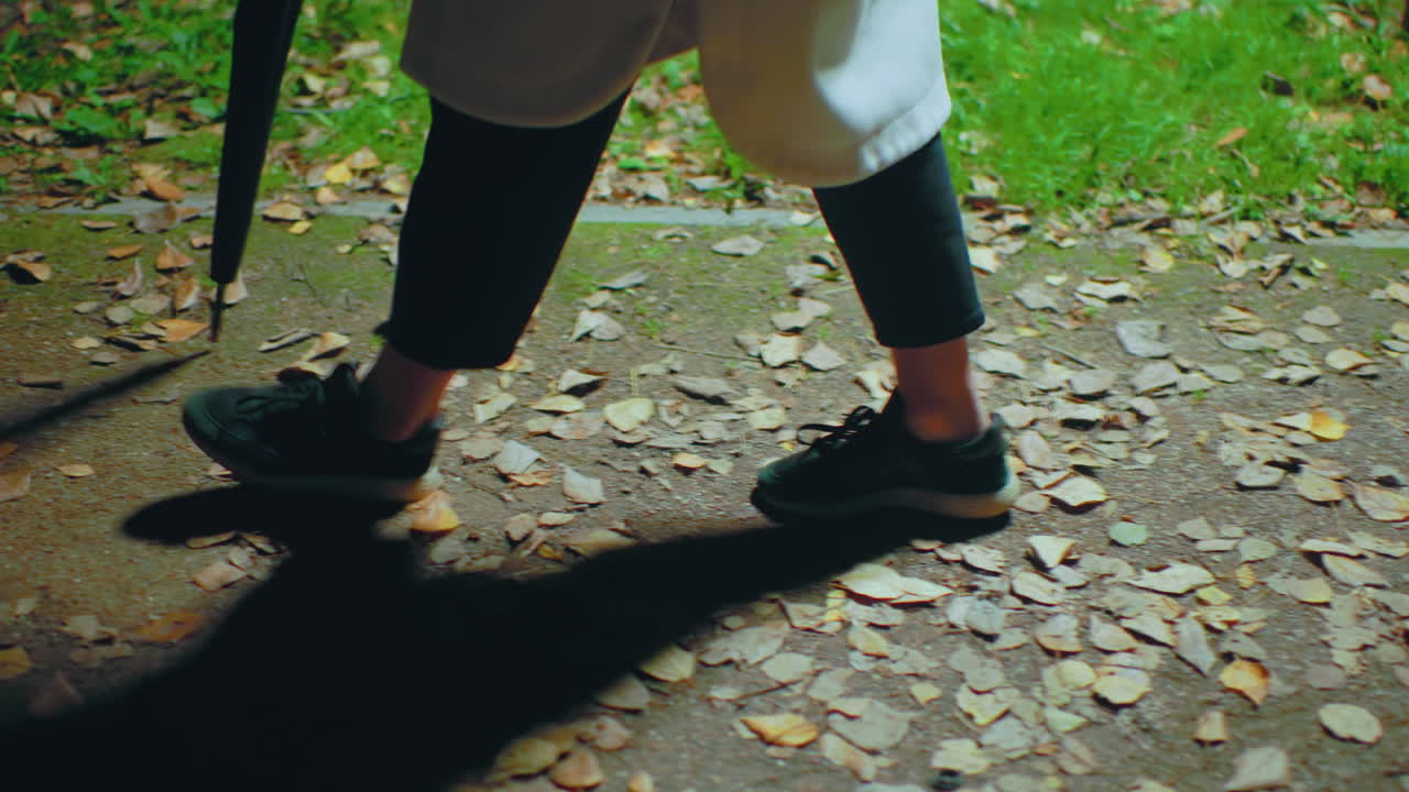 Close up of woman legs walking on park path covered with dry fallen leaves at night, illuminated by soft lights, wearing black sneakers and white coat, umbrella tip touching ground lightly